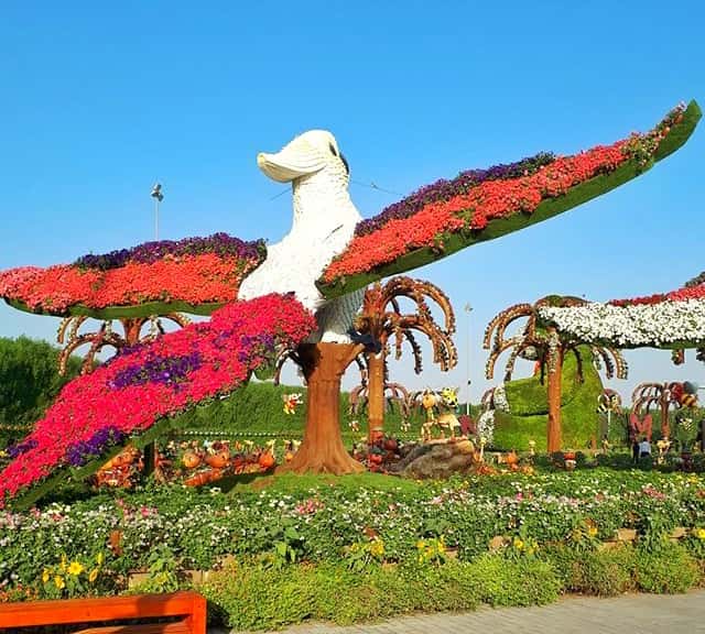 Structure of these floral parrots at Dubai Miracle Garden