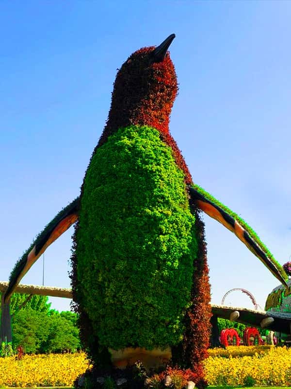Penguins Topiary Arts are about 30 feet tall at the Dubai Miracle Garden