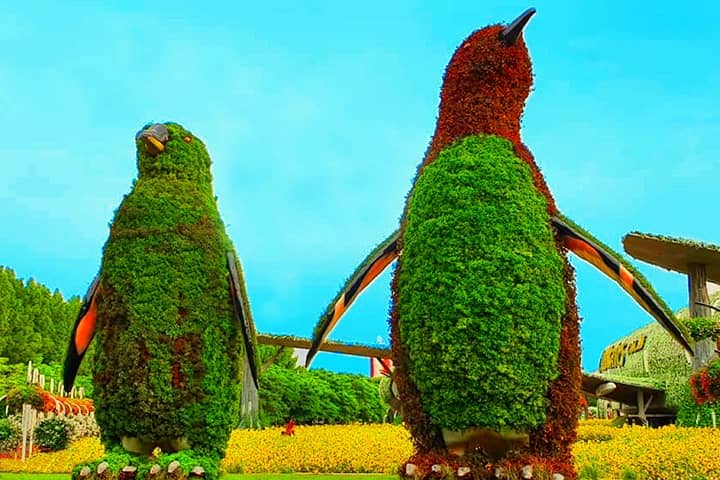 Penguins' Topiary Art at Dubai Miracle Garden