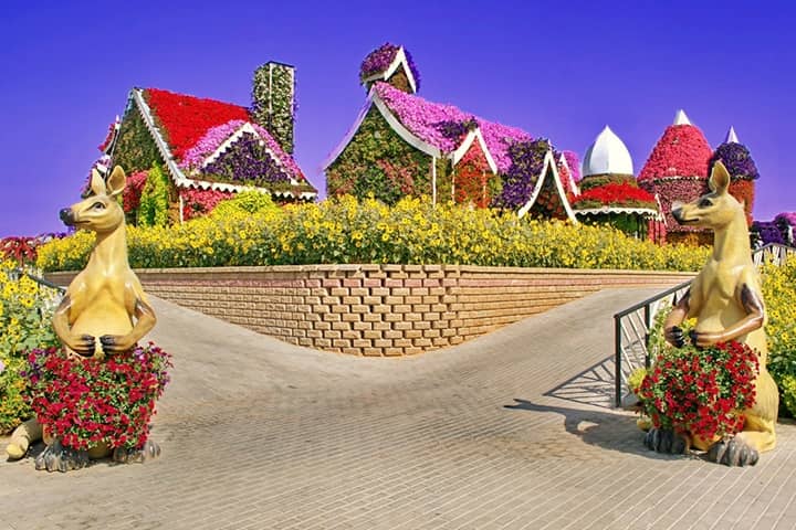 Floral Houses at Dubai Miracle