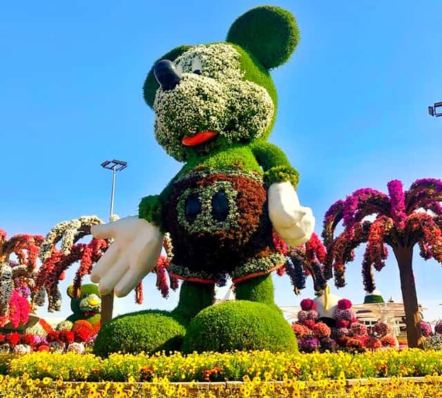 Mickey Mouse topiary art at Dubai Miracle Garden.
