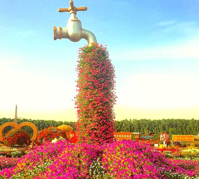 Height of Pipeless Tap Fountain at Dubai Miracle Garden.