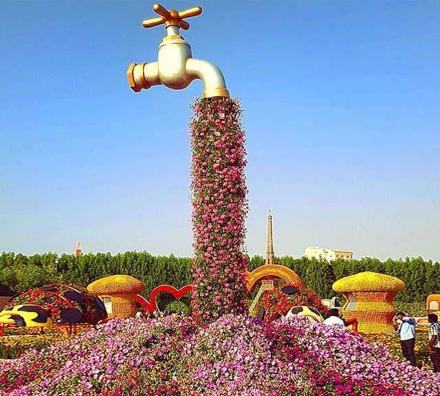 Petunia and Verbena flowers within Pipeless Tap Fountain at Dubai Miracle Garden.