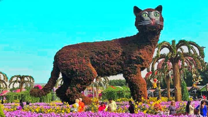 Quadruplet Cats Topiary Art is a perfect example of botanical engineering.