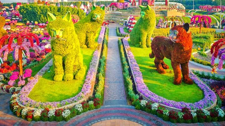 Quadruplet Cats topiary art at the Dubai Miracle Garden
