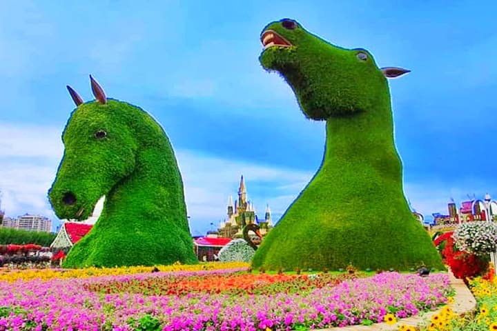 Stallions displaying excitment and endorsement expressions at Dubai Miracle Garden.