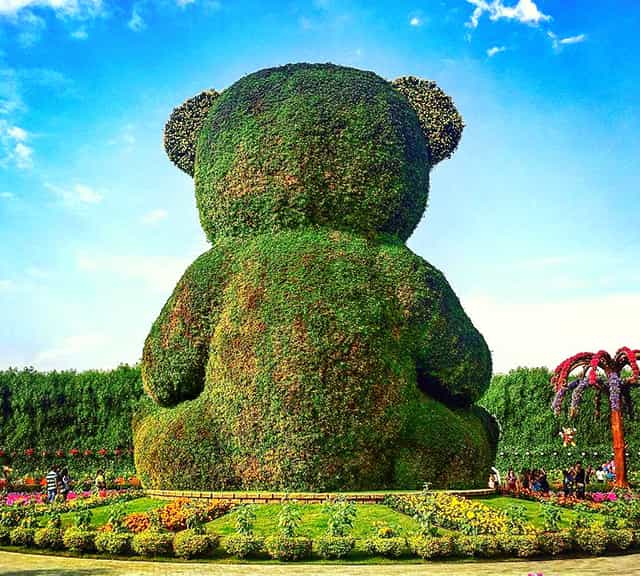 The Structure of the Teddy Bear at the Dubai Miracle Garden is a perfect example of finely craft floral art