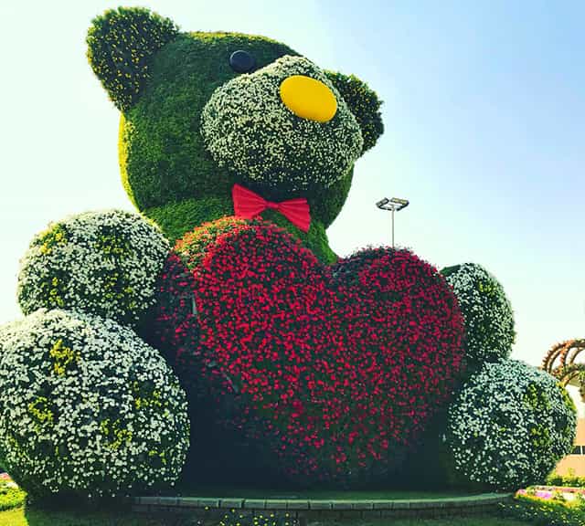 Petunia flowers are used to decorate the Teddy Bear at the dubai Miracle Garden