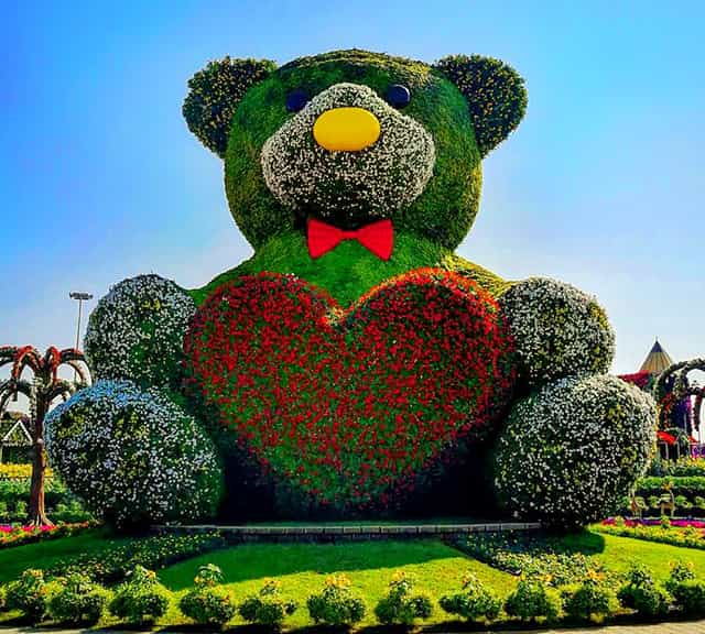 Huge-sized Teddy Bear 40 feet high and 20 feet wide at Dubai Miracle Garden.