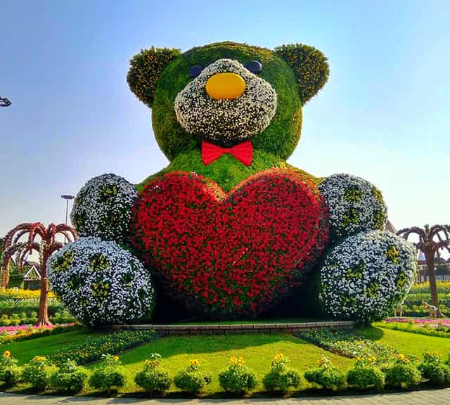 Teddy Bear symbolizes love and affection at the Dubai Miracle Garden