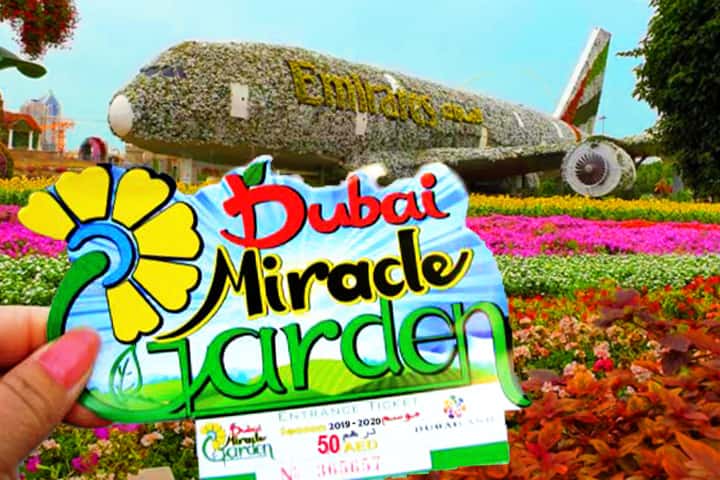Entrance fee of Dubai Miracle Garden is just 55 AED.