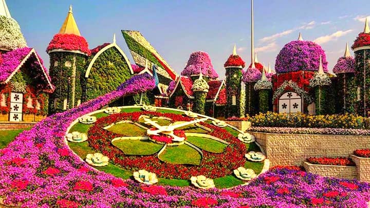 Morning Timing Permission for Photography at Dubai Miracle Garden.