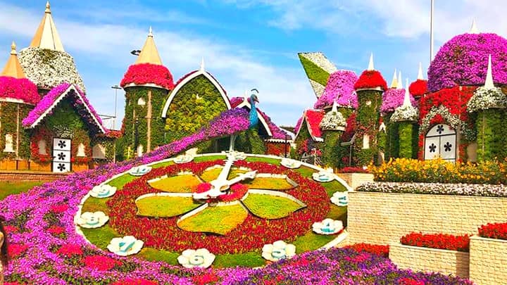 Seasonal Timings to visit Dubai Miracle Garden from November till April