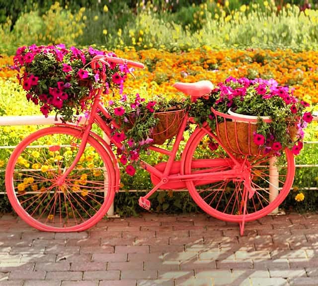 Urban Bicycles at the Dubai Miracle Garden