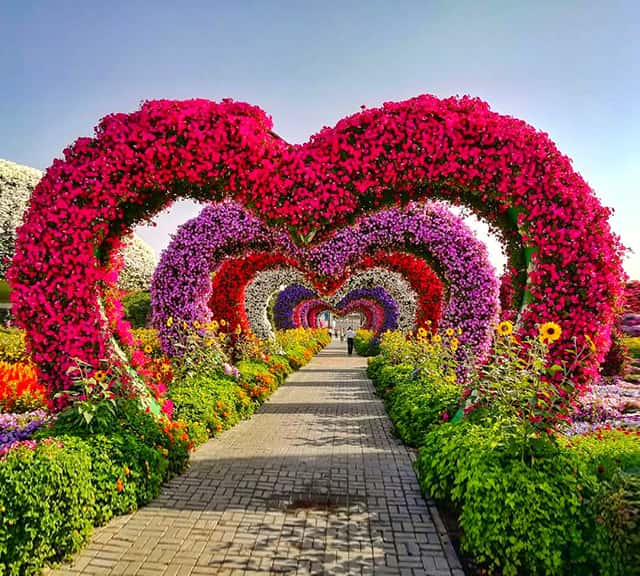 Valentine's Day at Dubai Miracle Garden