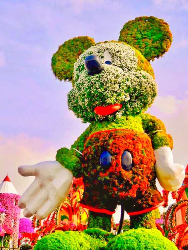 Tallest topiary art of Mickey Mouse at the Dubai Miracle Garden.
