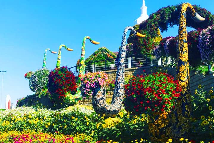 Saxophones from the previous season have also been retain in the Season 8 of the Dubai Miracle Garden.