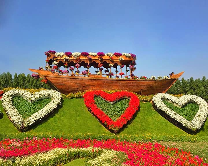 Petunia Flowers on Abra Boats of Dubai Miracle Garden