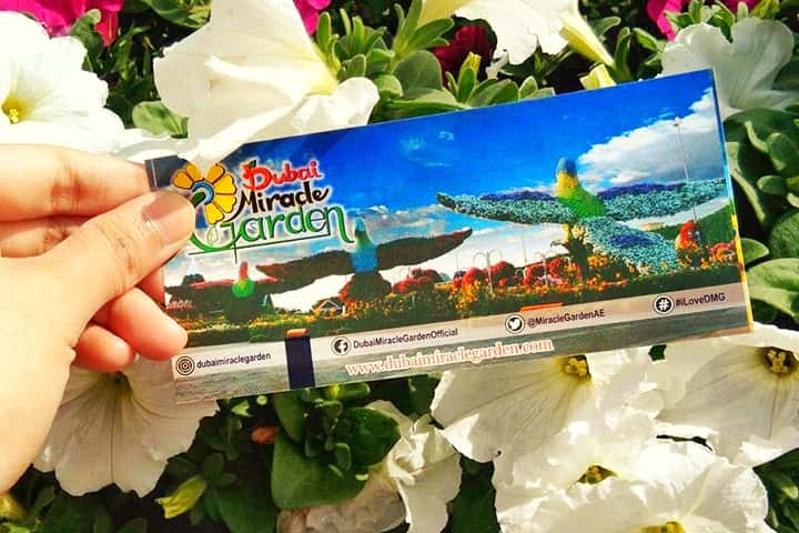 Ticket price of Dubai Miracle Garden is lower ($15 USD) as compared to Keukenhof Garden ($21 USD).