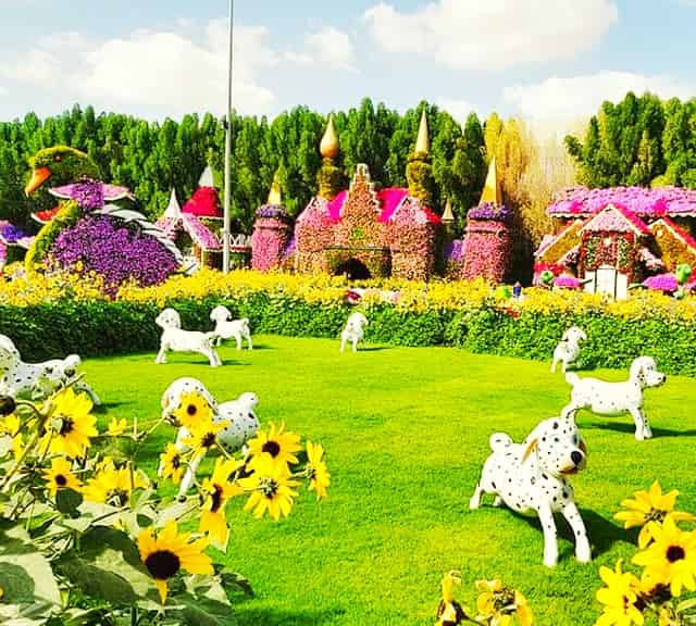Watching Dubai Miracle Garden entirely takes a lot of time.