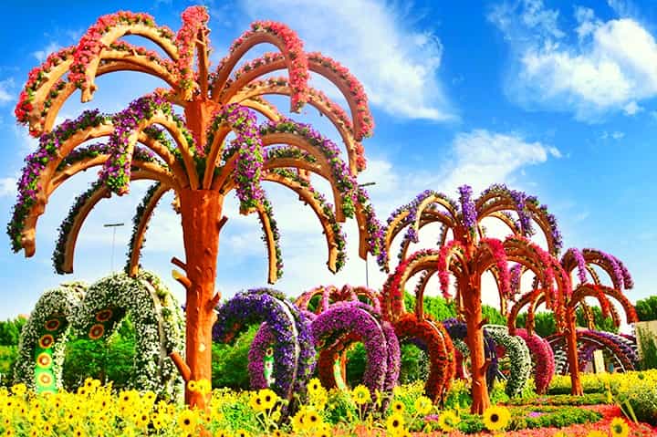 Dubai Butterfly Garden is located next to Dubai Miracle Garden