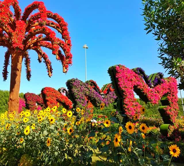 Size of the Butterfly Passage at the Dubai Miracle Garden