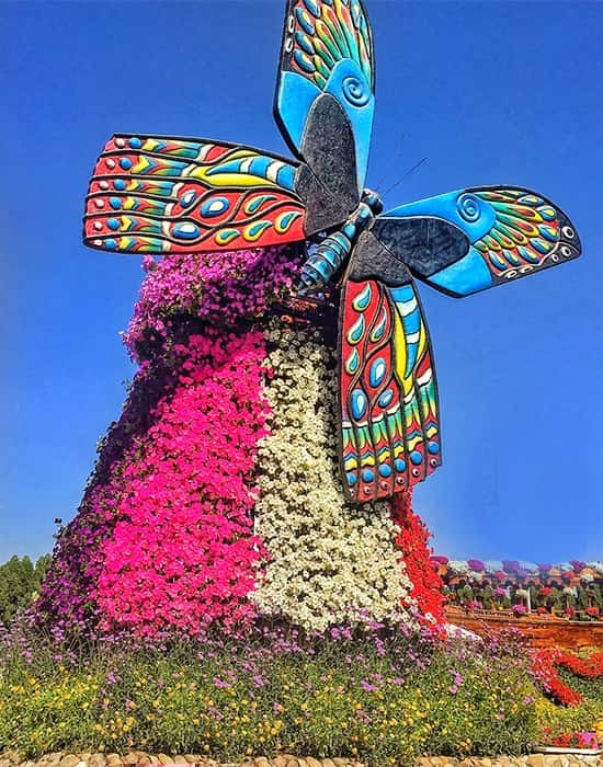 Butterfly Windmill size, height and width at the Dubai Miracle Garden.