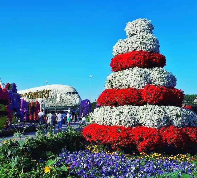 Photograph of a Colorful Fountain at the Dubai Miracle Garden.