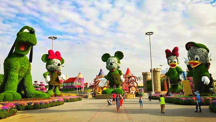 Disney Avenue is introduced in season 7 of the Dubai Miracle Garden.