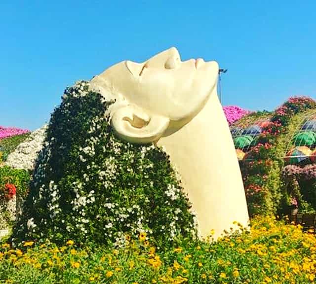 Don't litter around the Dubai Miracle Garden.