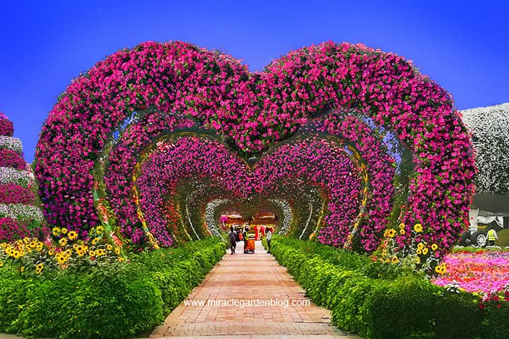 Dubai Miracle Garden