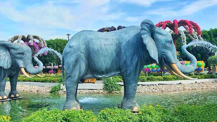 Elephant Fountains size at the Dubai Miracle Garden. 10 feet high and 12 feet long