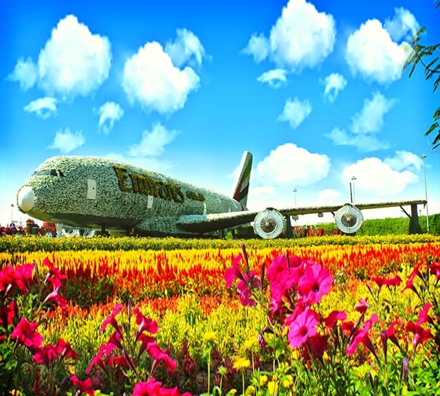 Emirates Airbus A380 at Dubai Miracle Garden