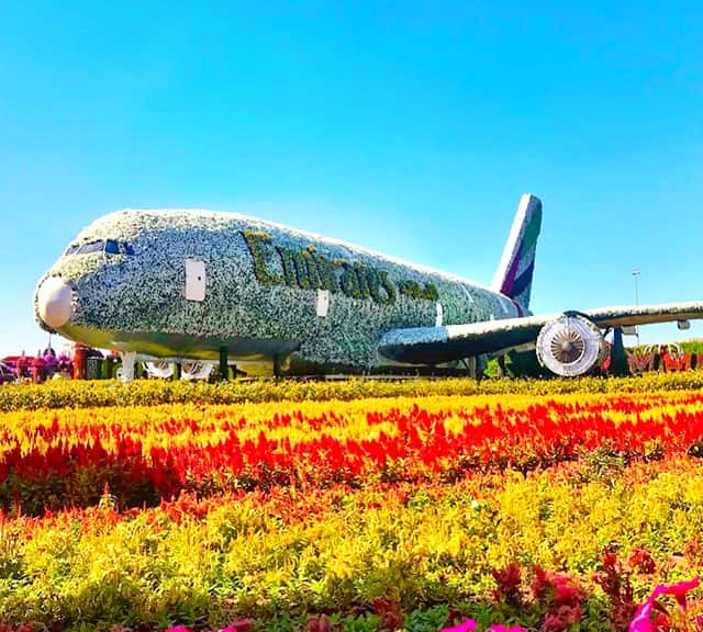 Photograph of Emirates Airbus A380 at the Dubai Miracle Garden