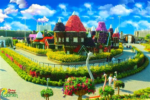 Dubai Miracle Garden is the largest flower garden in the world.