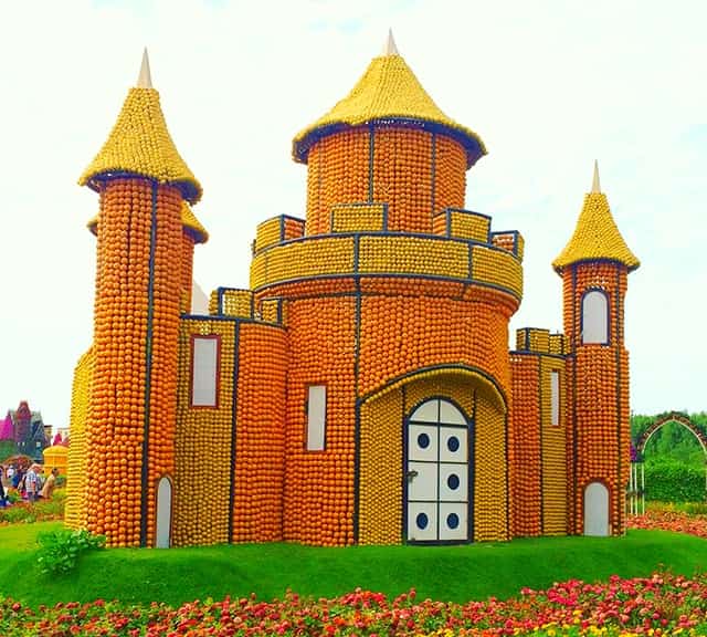 The Dubai Miracle Garden goes for its season renovation from May till october