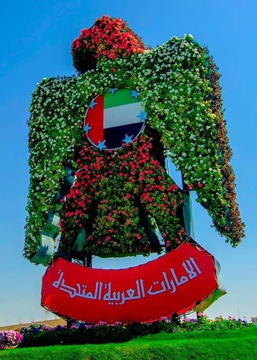 Floral Falcon UAE Photograph