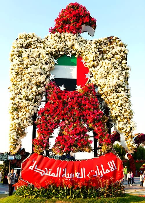 Petunia flowers on Floral Falcon of Dubai Miracle Garden