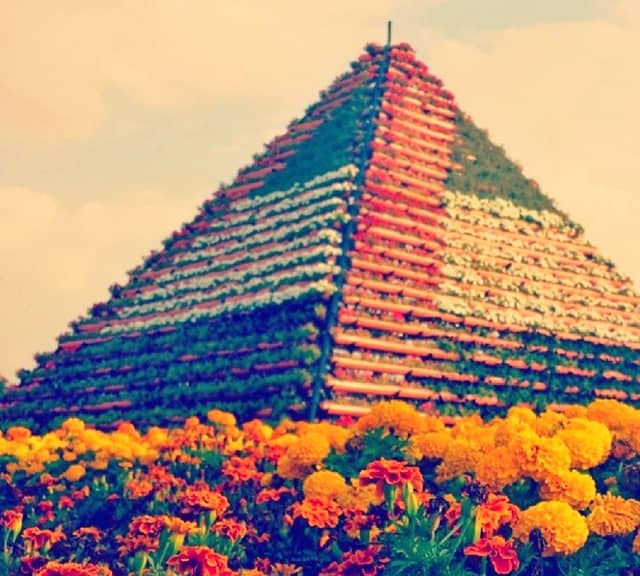 Floral Pyramids Photographs at the Dubai Miracle Garden.