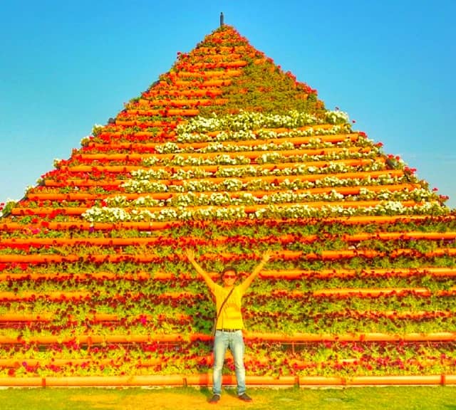 Structure and Architecture of Floral Pyramids at the Dubai Miracle Garden