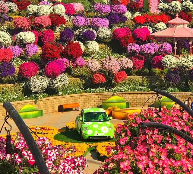 Structure of Flower Hill comprises of Stairs and palm trees carrying flowering pots at the Dubai Miracle Garden.