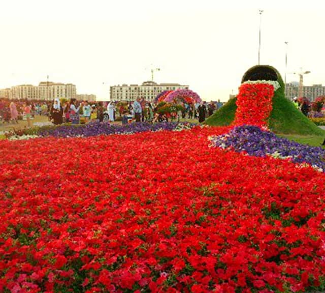 Flower Spilling Bucket Introduction at Dubai Miracle Garden.