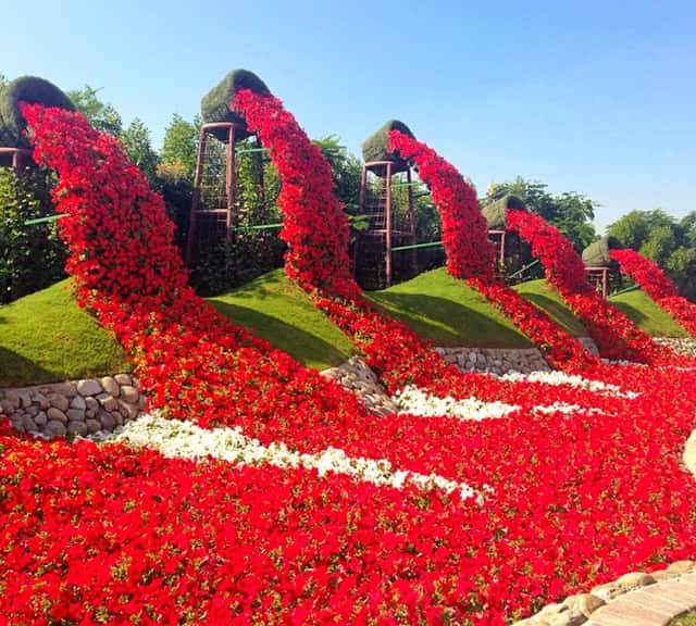 Flower Spilling Buckets Photograph at Dubai Miracle Garden.