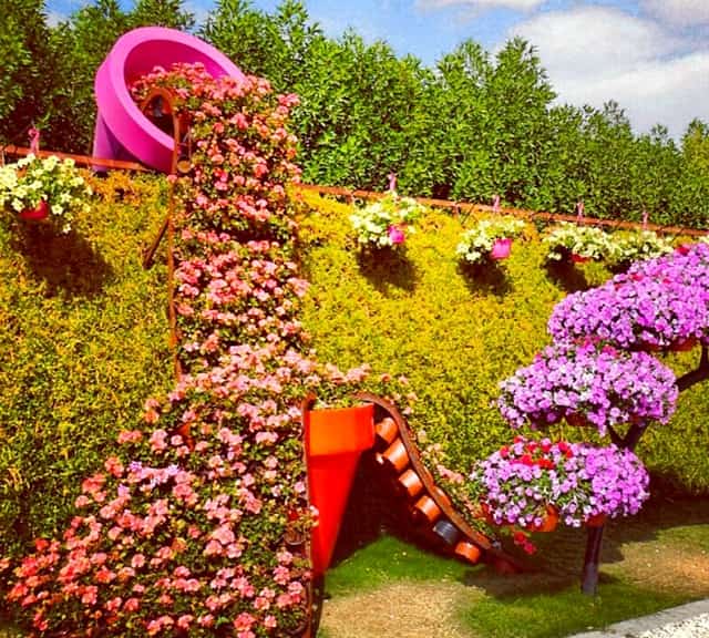 Petunia flowers in Flower Spilling Buckets at Dubai Miracle Garden.