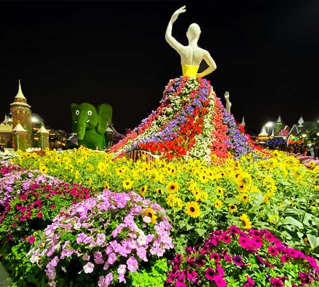 Dubai Miracle Garden blooms 50 million flowers