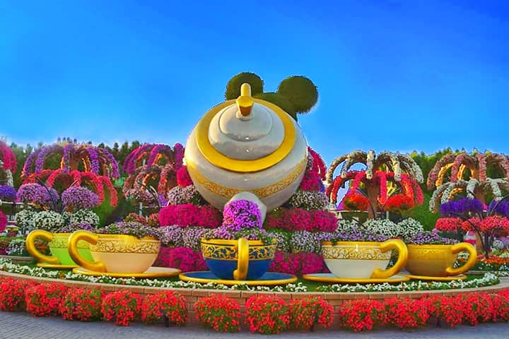 Dubai Miracle Garden blooms 70 different species of flowers.