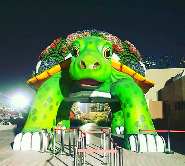 Giant Tortoise of Dubai Miracle Garden has a huge size