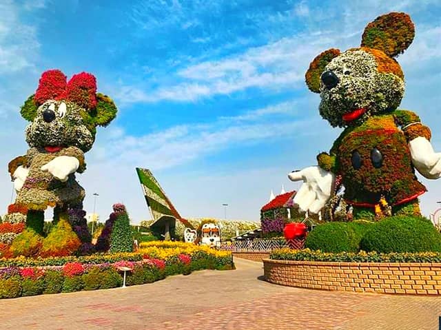 Continuous Evolution at Dubai Miracle Garden winning Guinness World Records