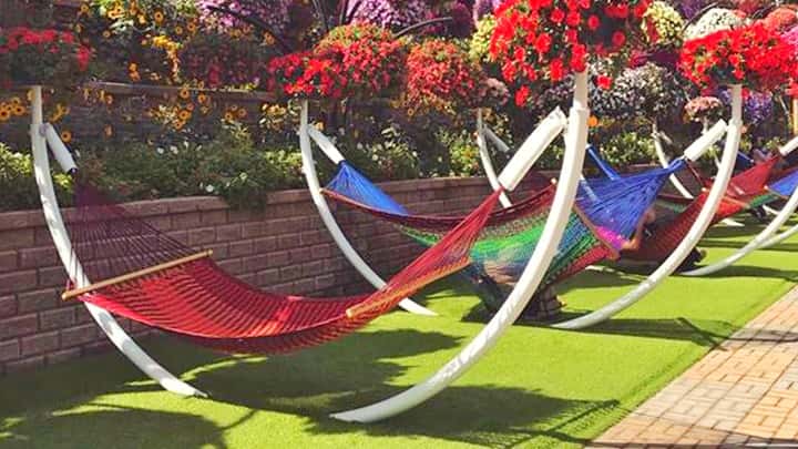 Colorful Hammocks at the Dubai Miracle Garden.