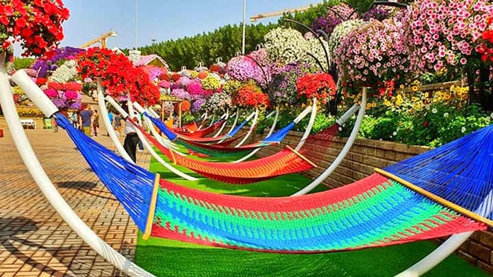 Hammocks at the Dubai Miracle Garden.